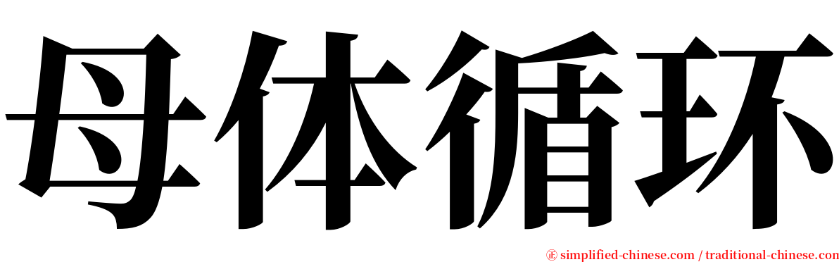 母体循环 serif font