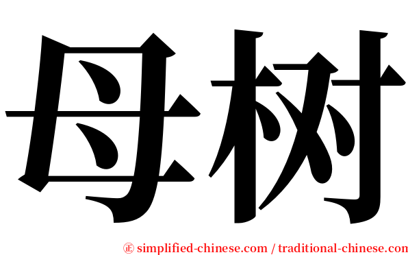 母树 serif font