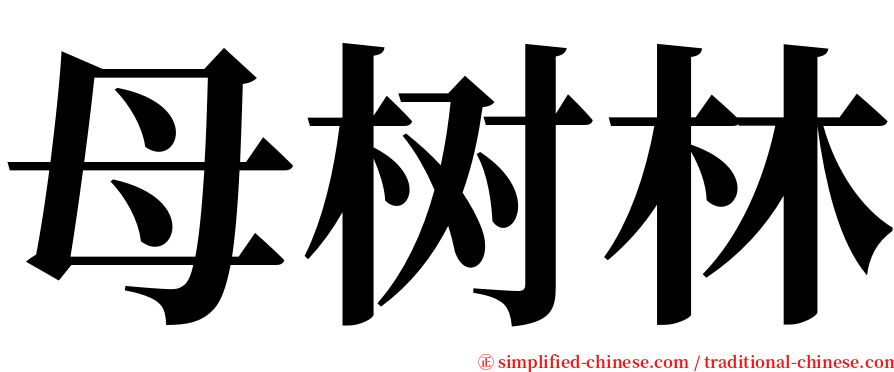 母树林 serif font