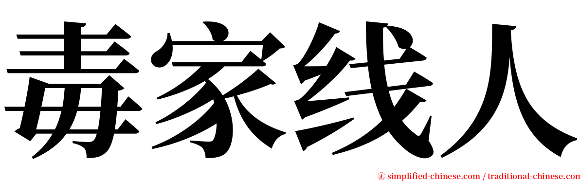 毒家线人 serif font