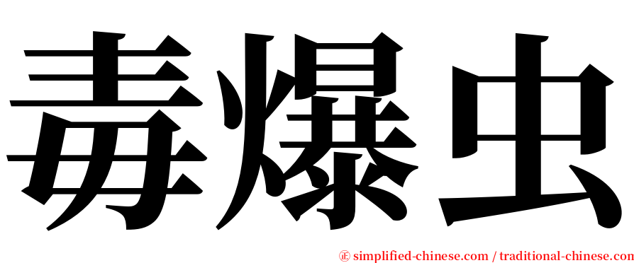 毒爆虫 serif font