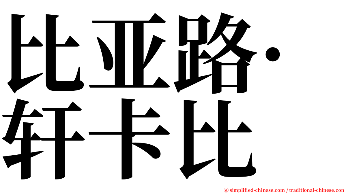 比亚路·轩卡比 serif font