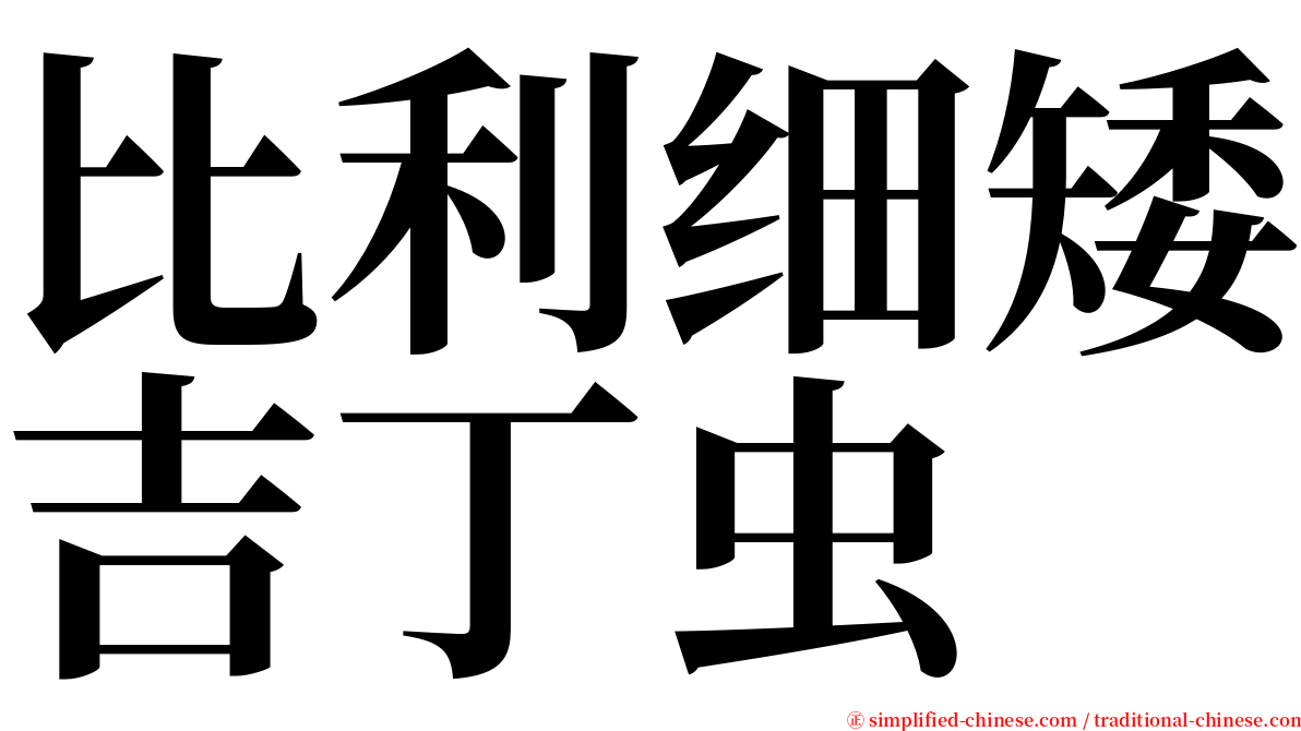 比利细矮吉丁虫 serif font