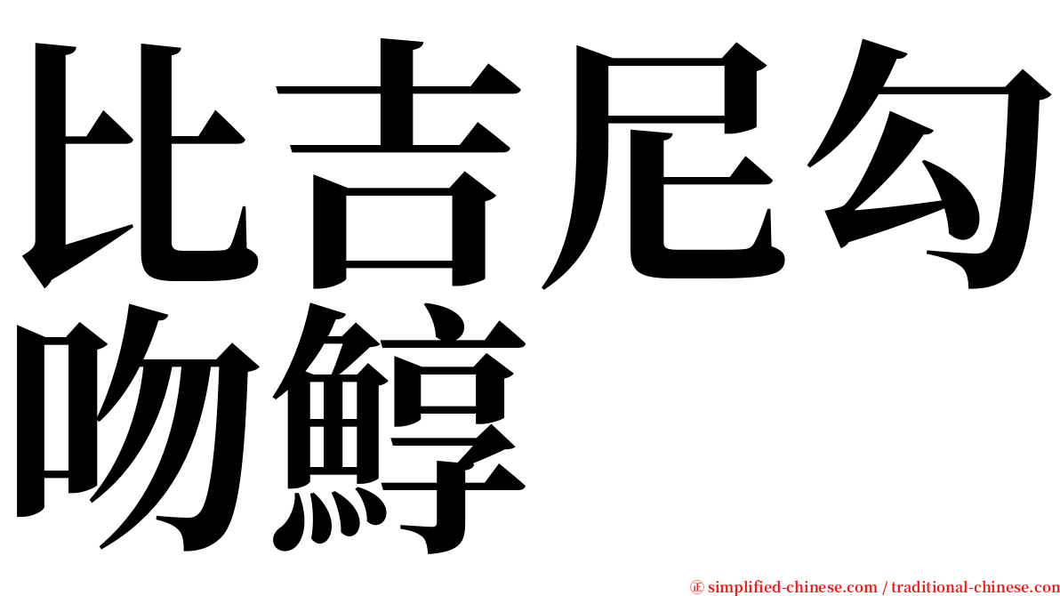 比吉尼勾吻鯙 serif font