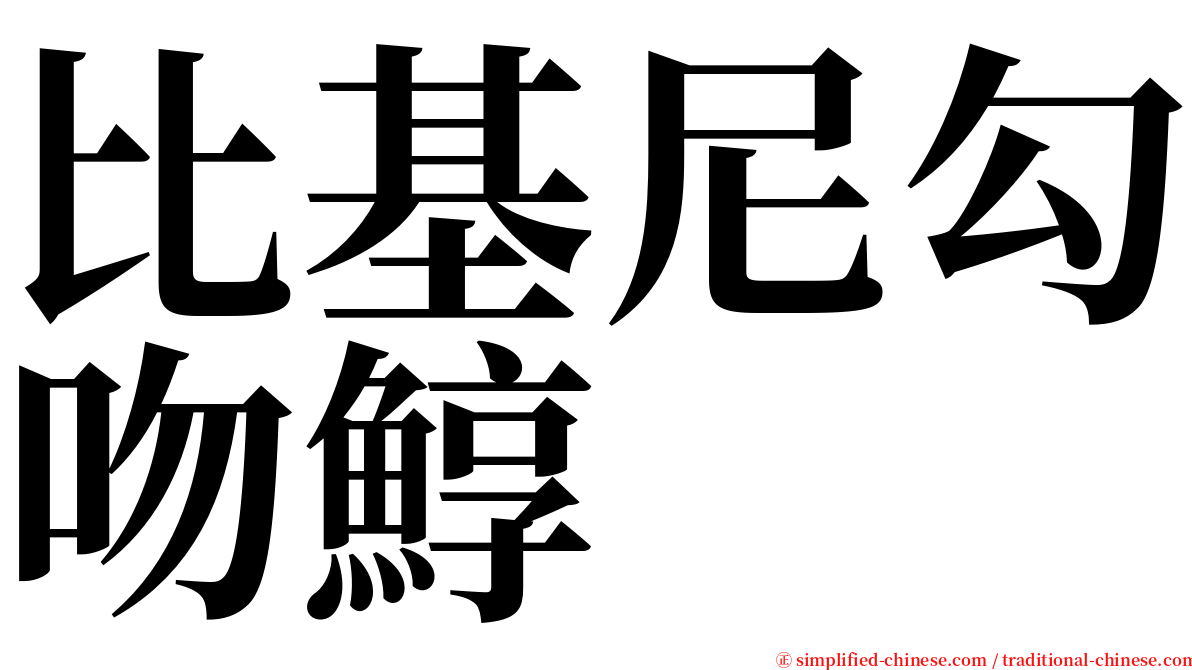 比基尼勾吻鯙 serif font