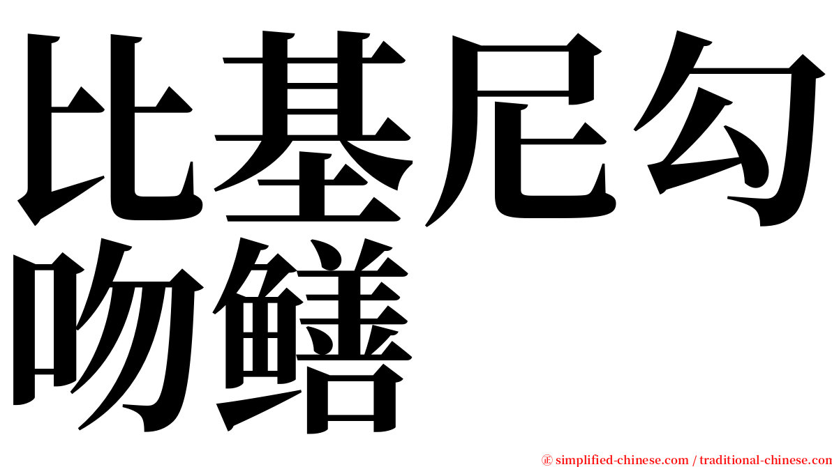 比基尼勾吻鳝 serif font