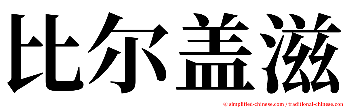 比尔盖滋 serif font