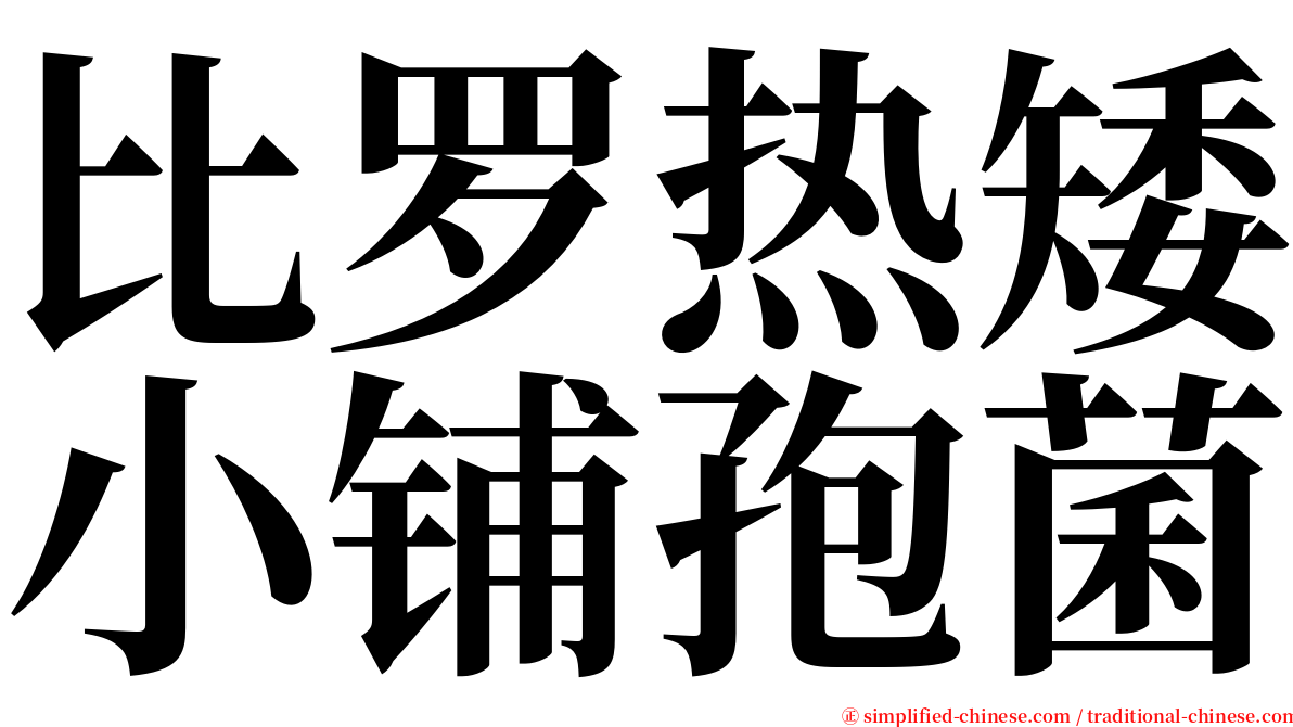 比罗热矮小铺孢菌 serif font