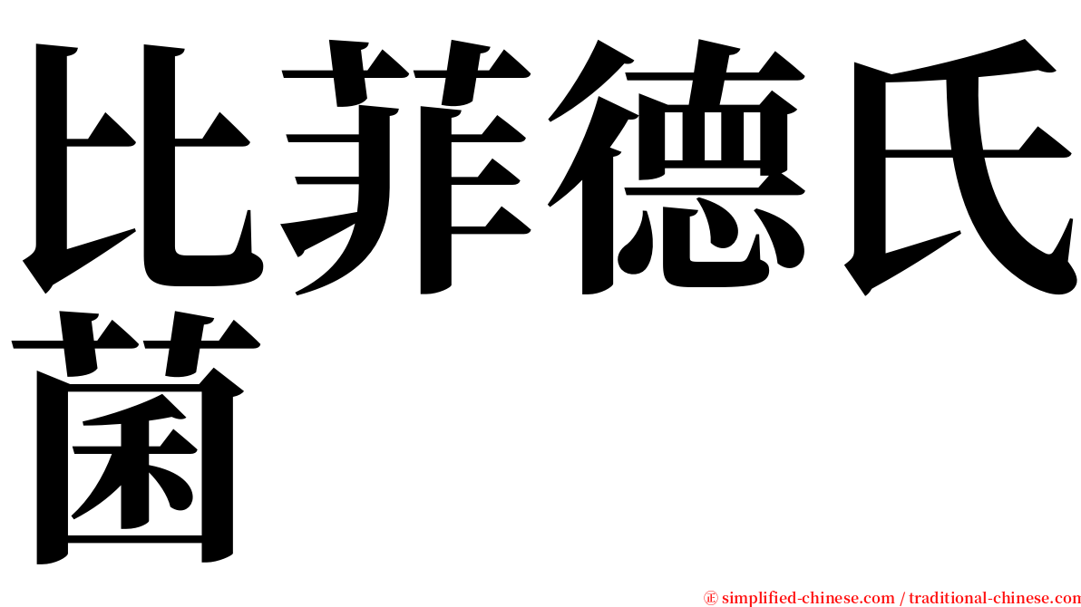 比菲德氏菌 serif font