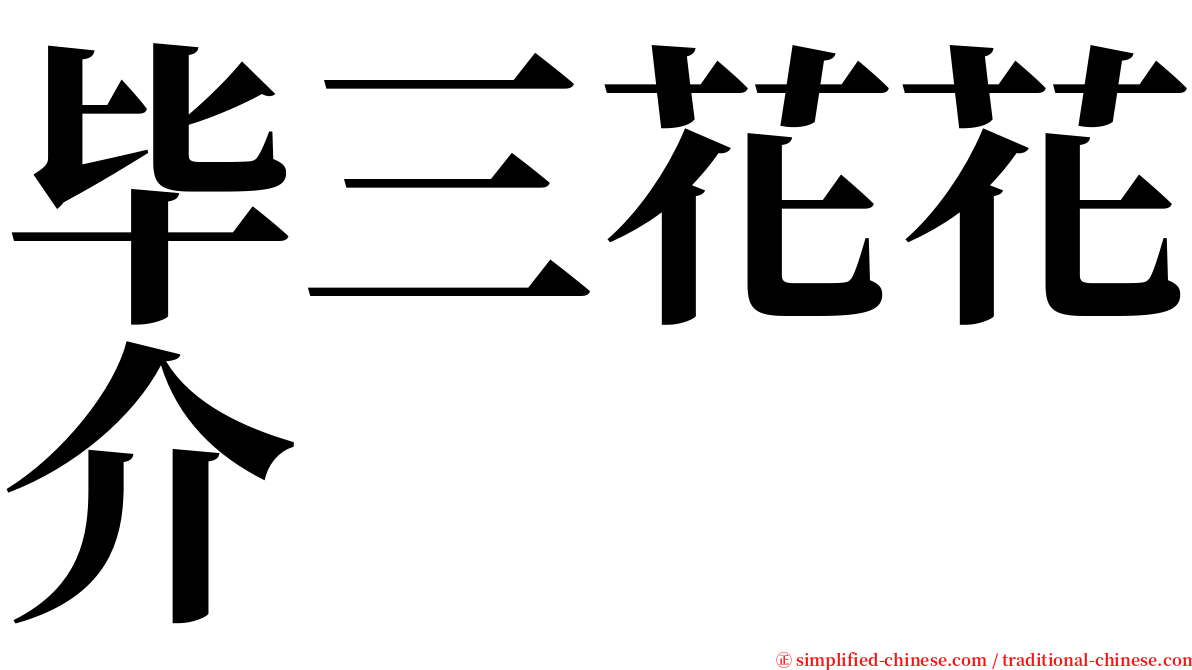 毕三花花介 serif font