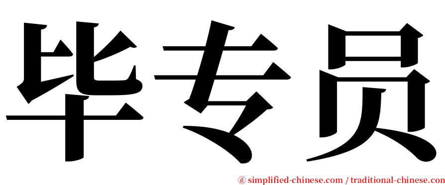 毕专员 serif font