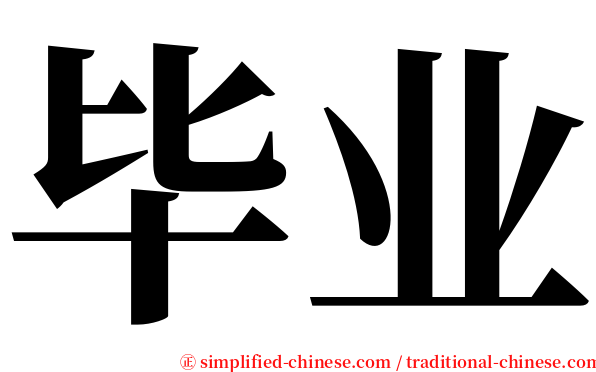 毕业 serif font