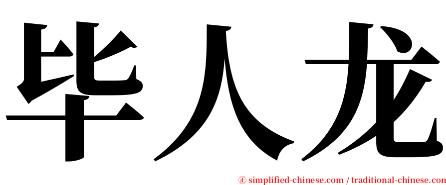 毕人龙 serif font