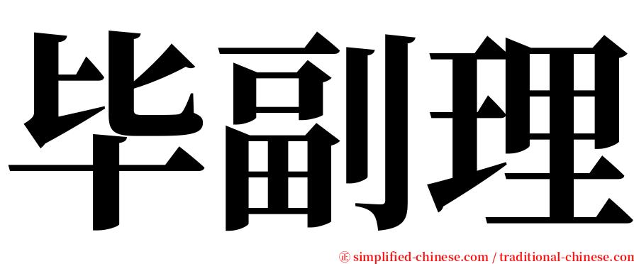 毕副理 serif font