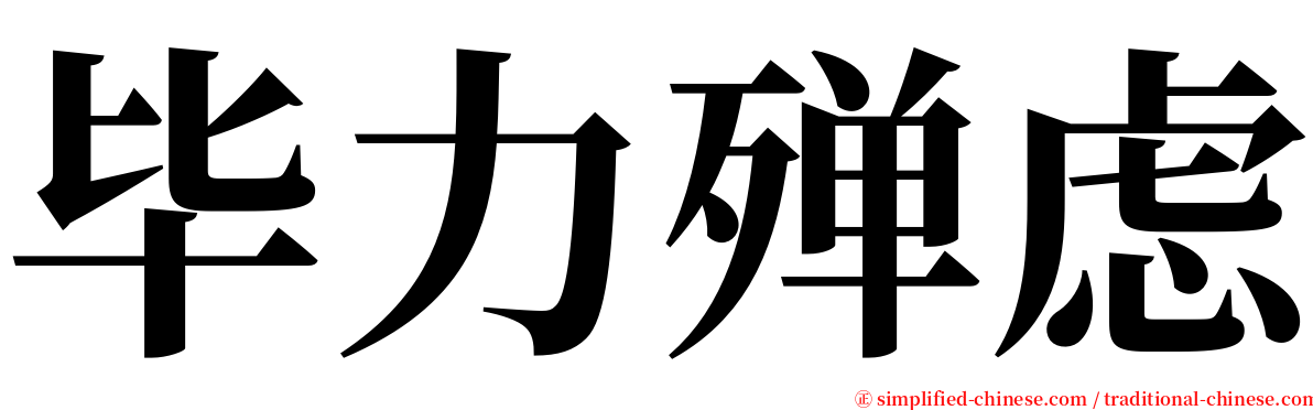 毕力殚虑 serif font