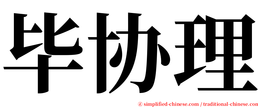 毕协理 serif font