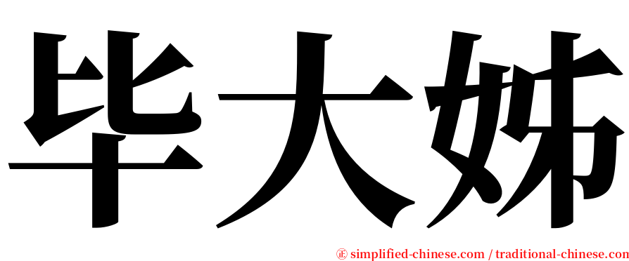 毕大姊 serif font