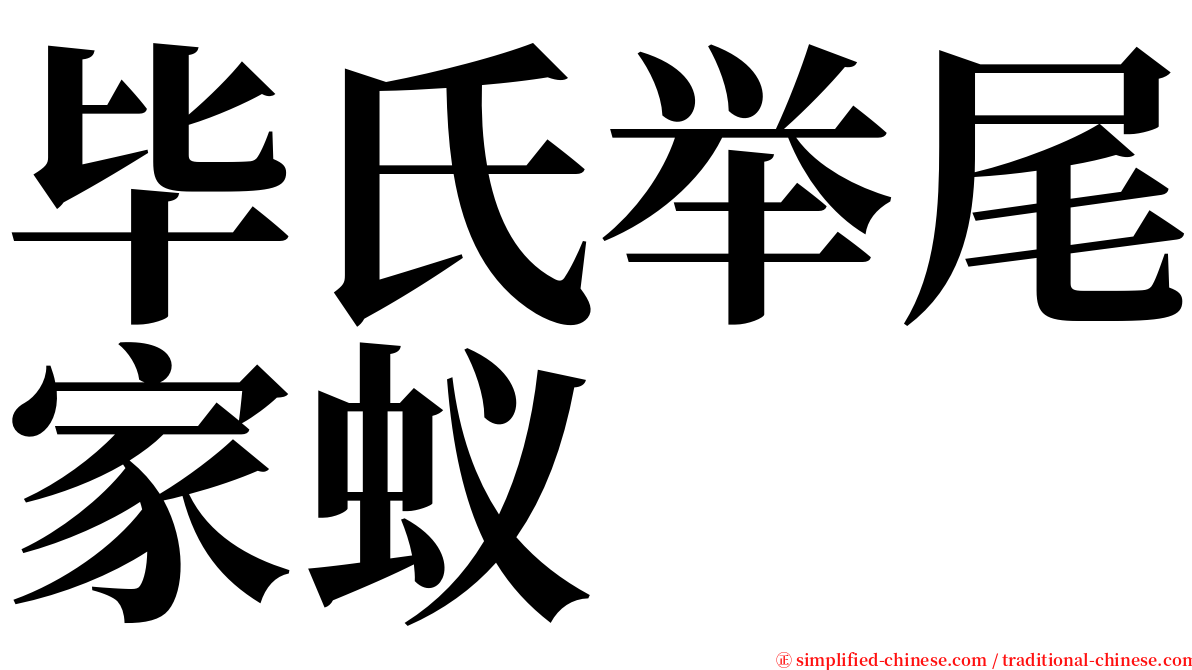 毕氏举尾家蚁 serif font