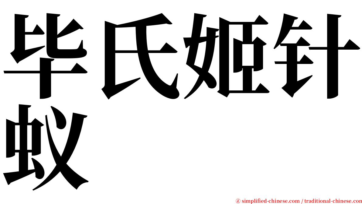 毕氏姬针蚁 serif font