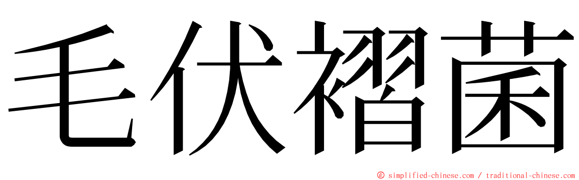 毛伏褶菌 ming font