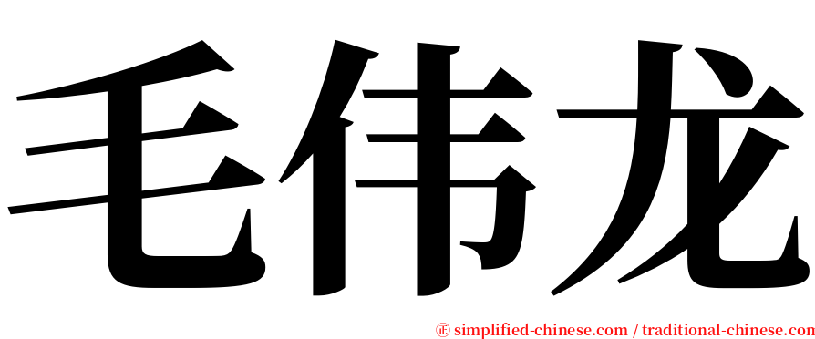 毛伟龙 serif font