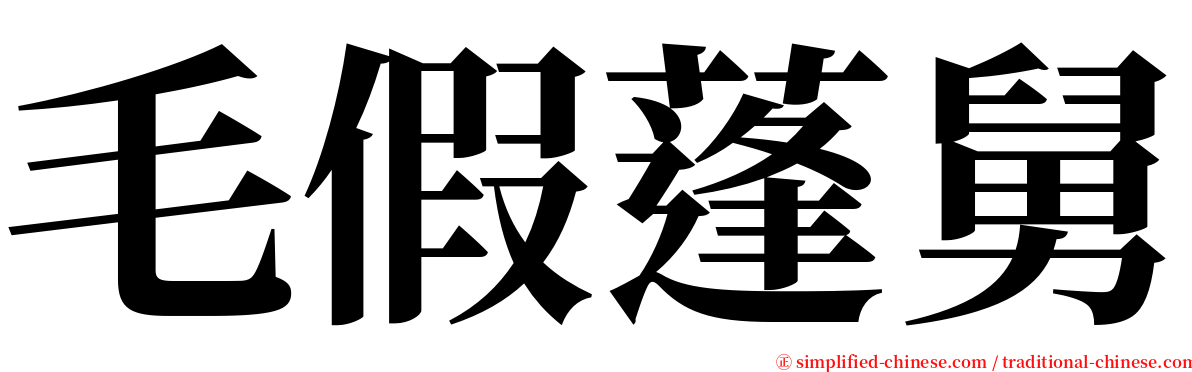 毛假蓬舅 serif font