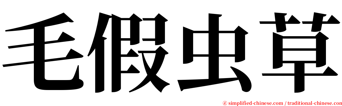 毛假虫草 serif font