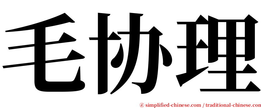 毛协理 serif font