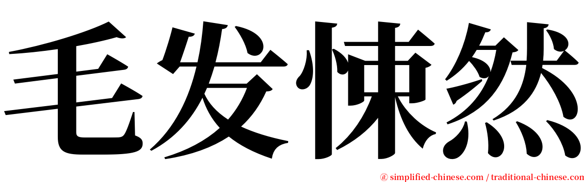 毛发悚然 serif font