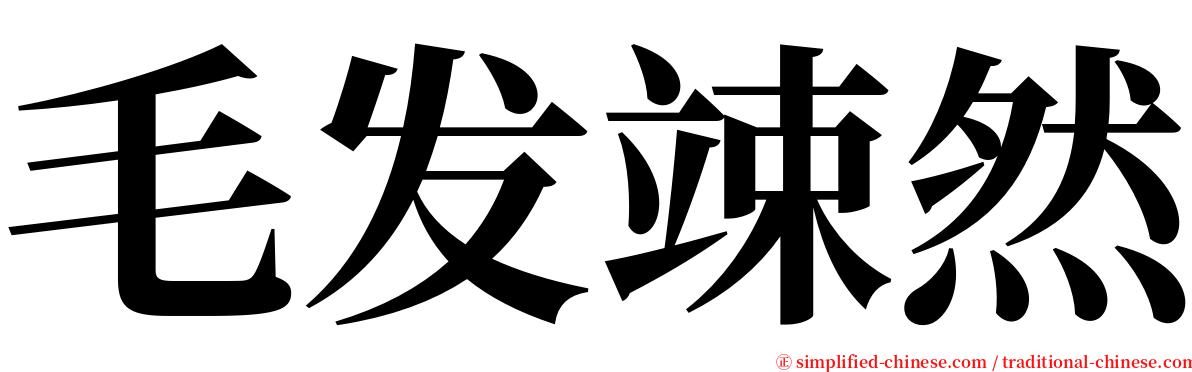 毛发竦然 serif font