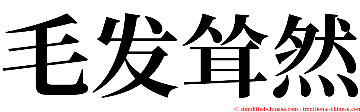 毛发耸然 serif font