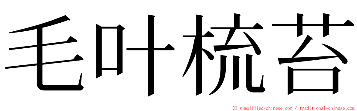 毛叶梳苔 ming font