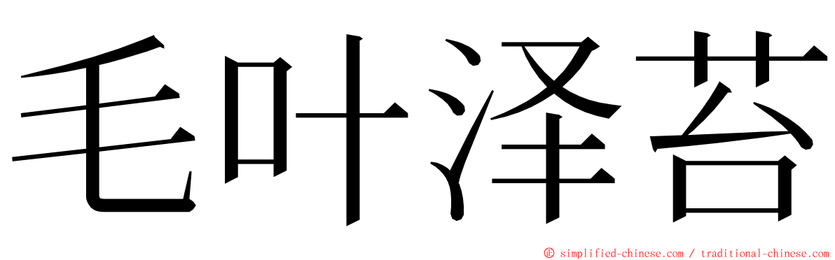 毛叶泽苔 ming font