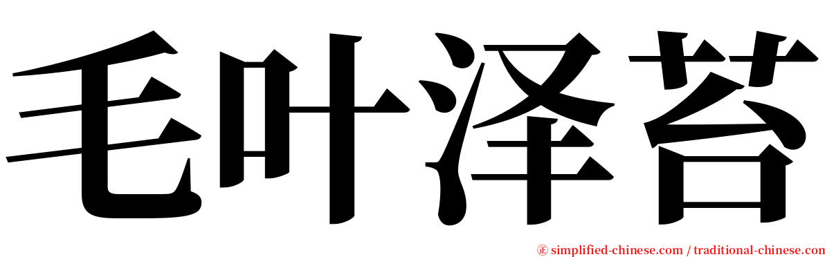 毛叶泽苔 serif font