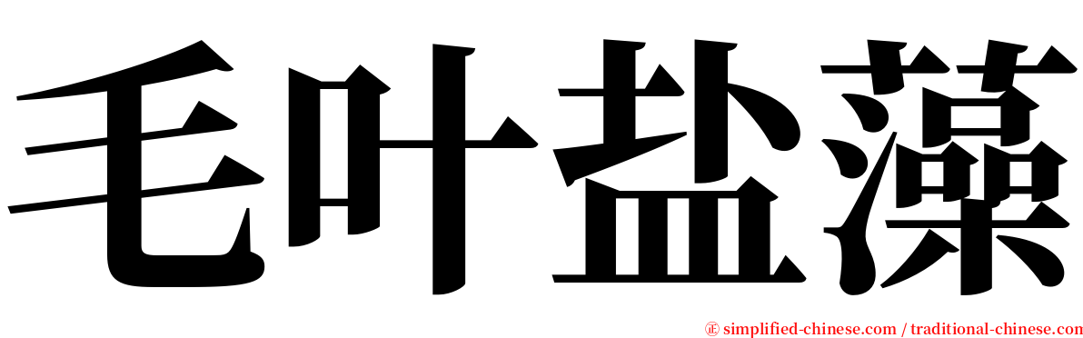 毛叶盐藻 serif font