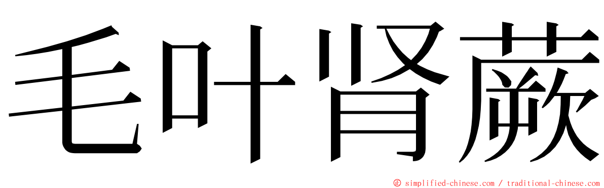 毛叶肾蕨 ming font