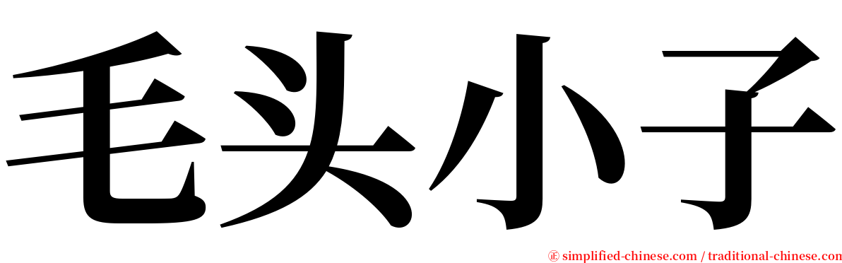 毛头小子 serif font