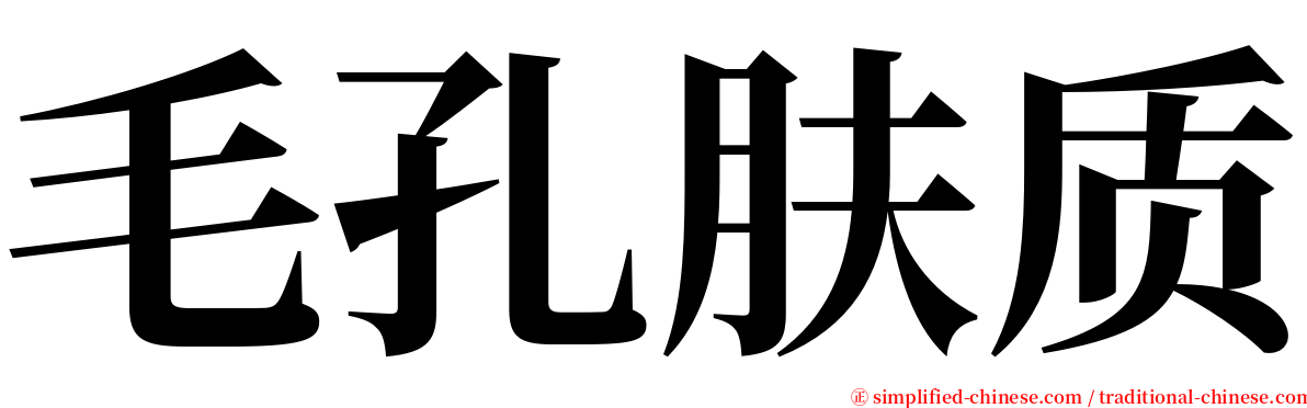 毛孔肤质 serif font