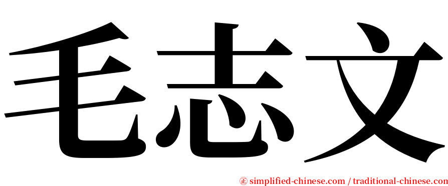 毛志文 serif font