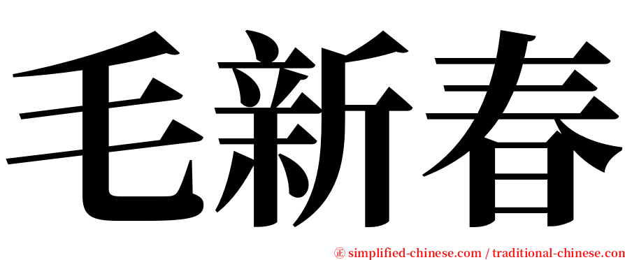 毛新春 serif font