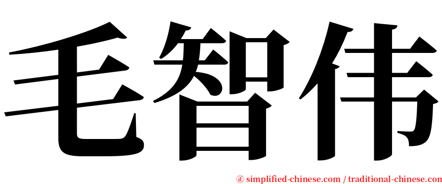 毛智伟 serif font