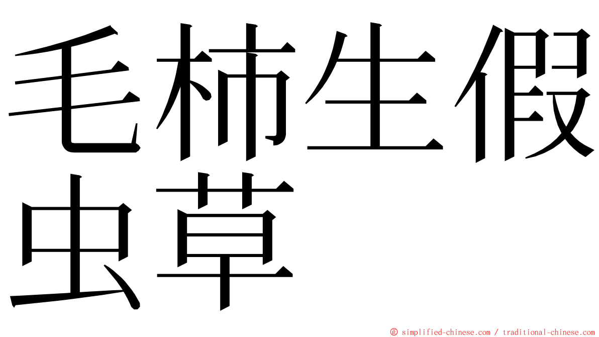 毛柿生假虫草 ming font