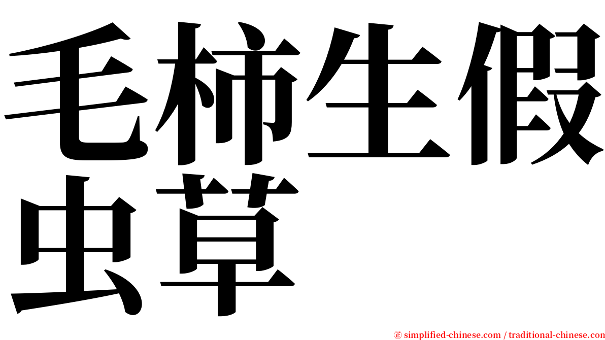 毛柿生假虫草 serif font