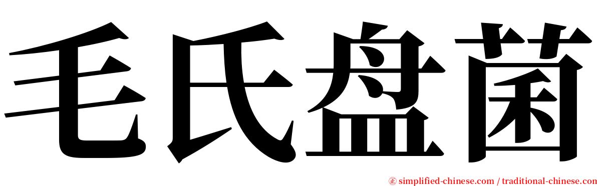 毛氏盘菌 serif font