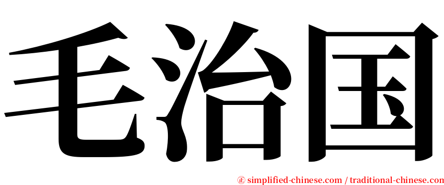 毛治国 serif font