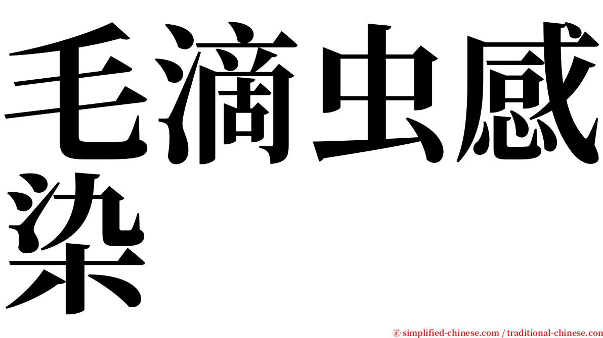 毛滴虫感染 serif font