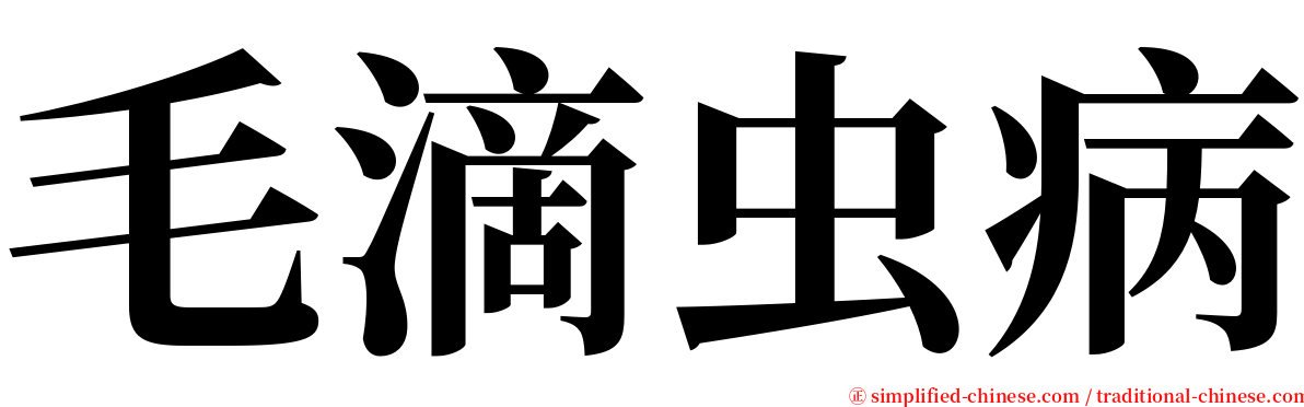 毛滴虫病 serif font