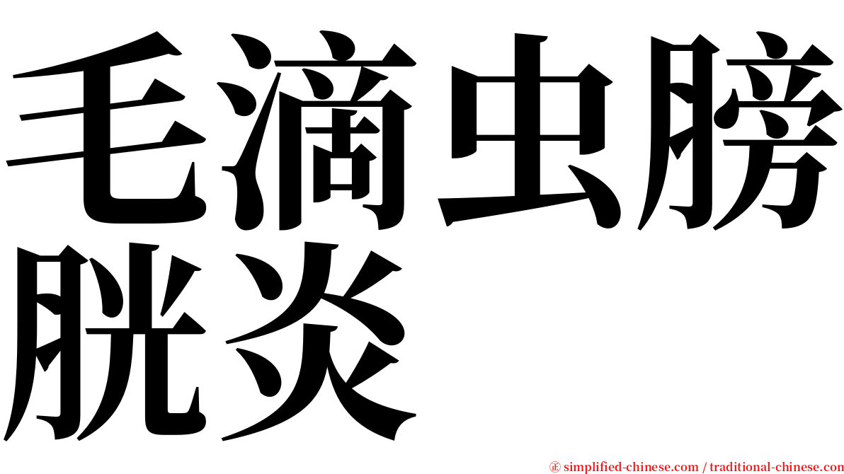 毛滴虫膀胱炎 serif font