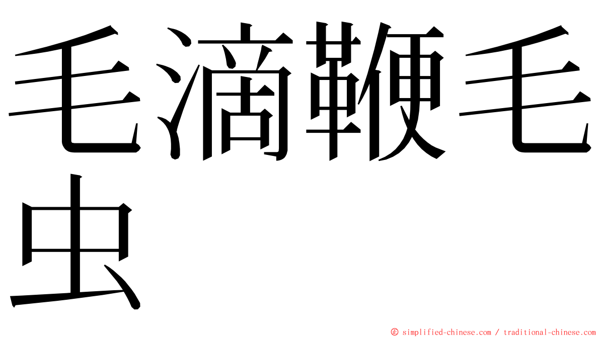 毛滴鞭毛虫 ming font