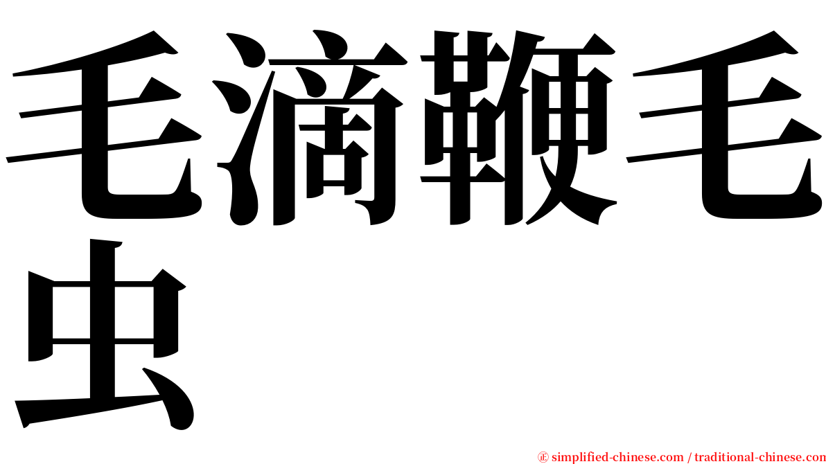 毛滴鞭毛虫 serif font